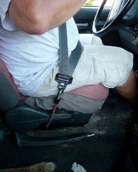 Seat belt bungy
