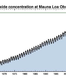 mlo full record