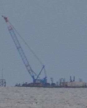 reef making