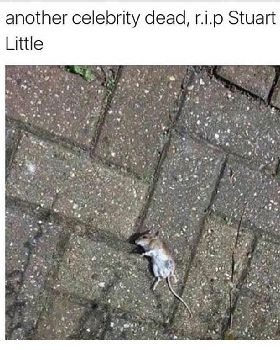 Stuart Little