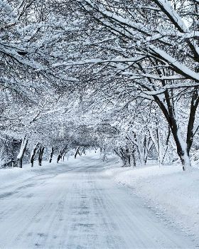 snow-7