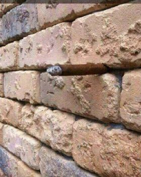 wall
