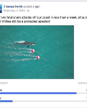 Screen Shot 2016-06-07 at 4.58.18 PM