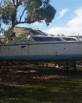 Boat Piccys, 6-6-2016 024