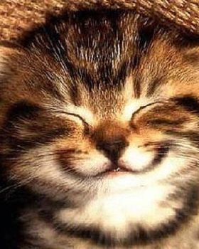 smile-1