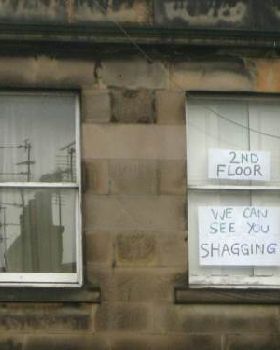 15shag