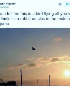 13567260 939311209527927 5701460544651702129 n