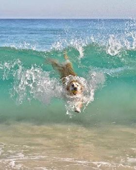 picdump-1448-12