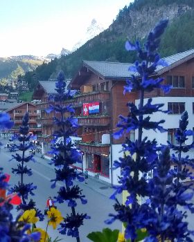 Flowerbox Matterhorn