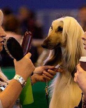 nice hair