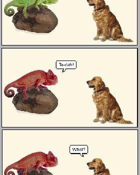 wRuLNQ3