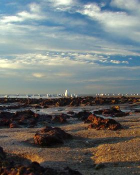 Sunset at wellington point 21-6-07