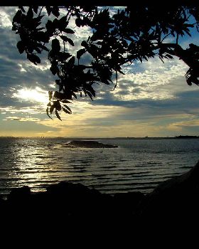 Wellington Point Sunset