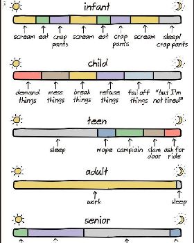 adulthood-comics-25-5874b81390f9f  700