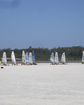 DSC05629