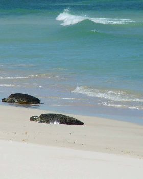 South of Yardie creek Exmouth / Ningaloo