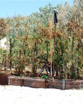 South of Yardie creek Exmouth / Ningaloo