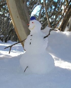 2007 SnowMan