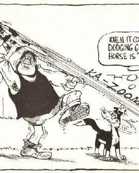 Murray Ball