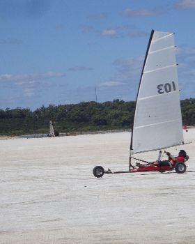 DSC05787