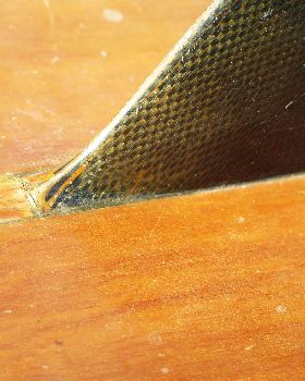Barry's Fin