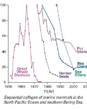 sequential collapse of marine mammals