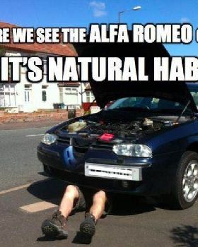 Alfa Romeo 2