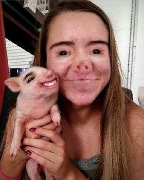 face swap 1
