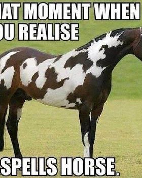 dd2fa22b2d7ff142993b3fa014d52b24--mind-blown-awkward-moments