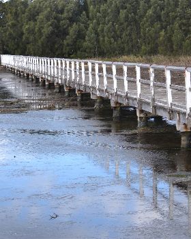 Jetty in need of Repair