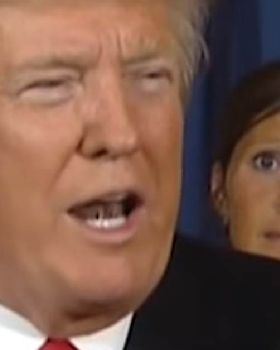Don brows