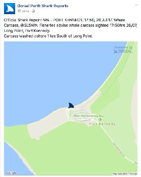 Screen Shot 2017-07-28 at 7.39.36 PM