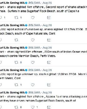 Screen Shot 2017-08-28 at 3.45.18 PM