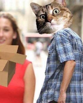 DIWAoliXgAQTuuF.jpg-large