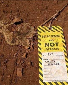 fucked rat