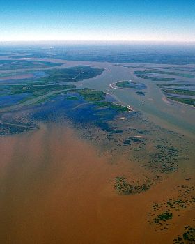 MSriverdelta