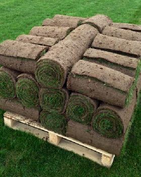 TURF5
