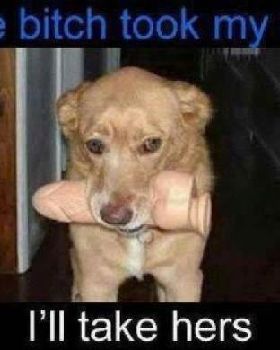 bone