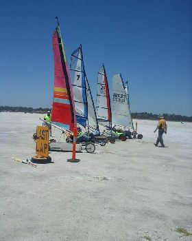sandgropers results