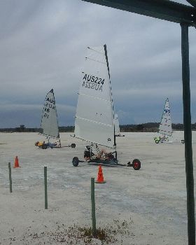 sandgropers results