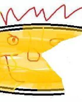 WDQWDWD