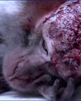 etnmwrtymnwrtynw
