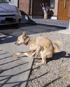 I thought it was just a figure of speech!