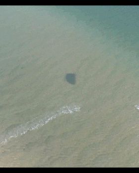 Kitesurf warila windang