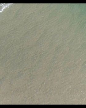 Kitesurf warila windang