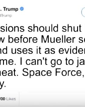 Trump tweet