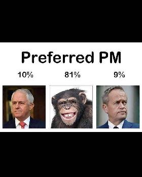 preferred pm