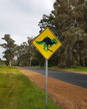 Kangaurous