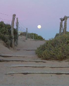 Moonrise