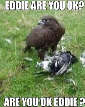 Eagles Rules